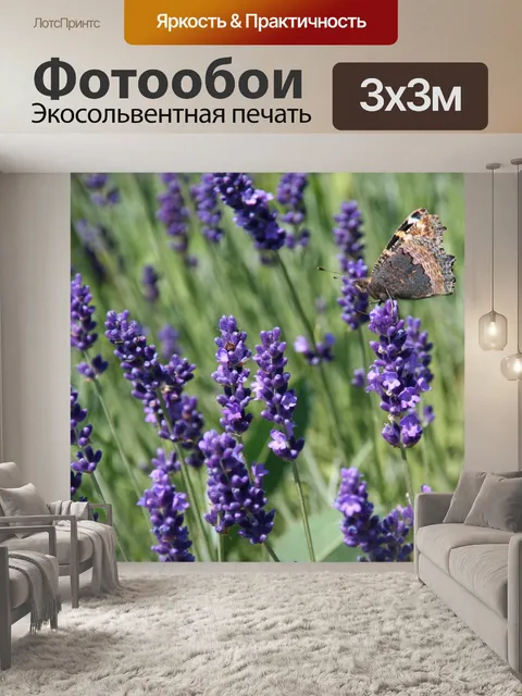 Фотообои Бабочка на лаванды
