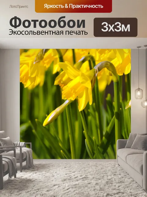 Фотообои Цветы