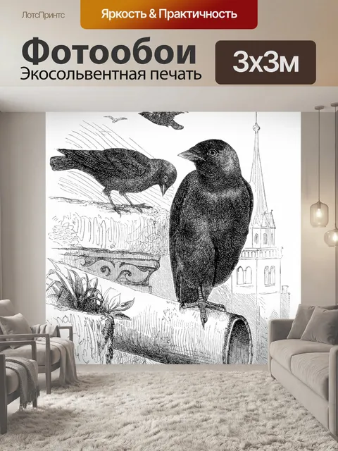 Фотообои Галка