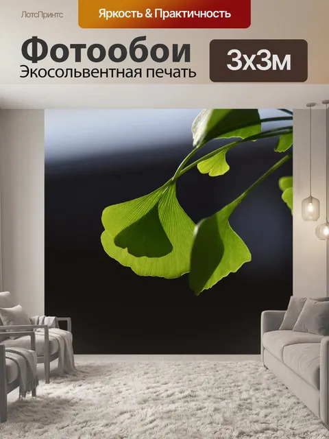 Фотообои Гинкго дерево