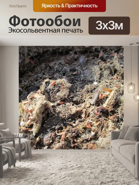 Фотообои Дерево Часть Макро 6