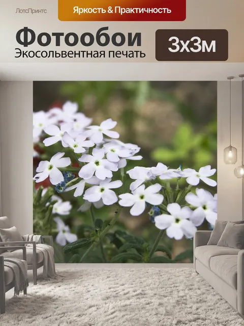 Фотообои Цветы
