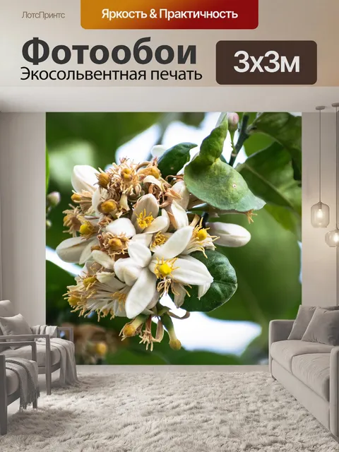 Фотообои Букет цветов