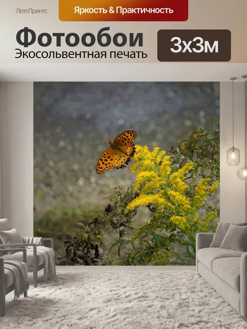 Фотообои Бабочка
