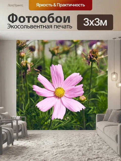Фотообои Космос космоса цветов