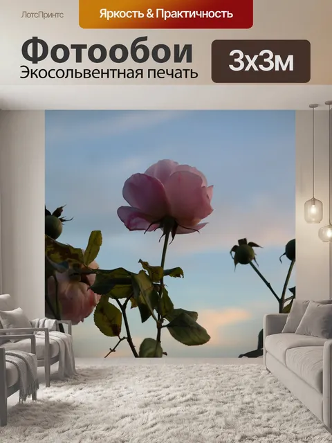 Фотообои Роза