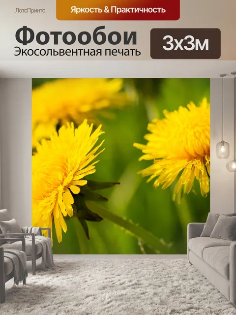 Фотообои Одуванчик