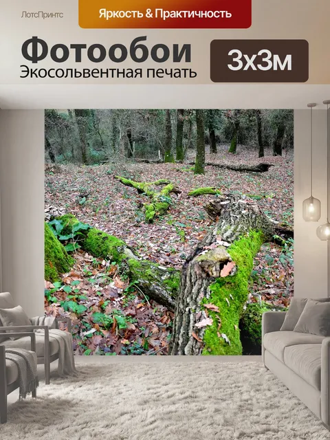 Фотообои Лес