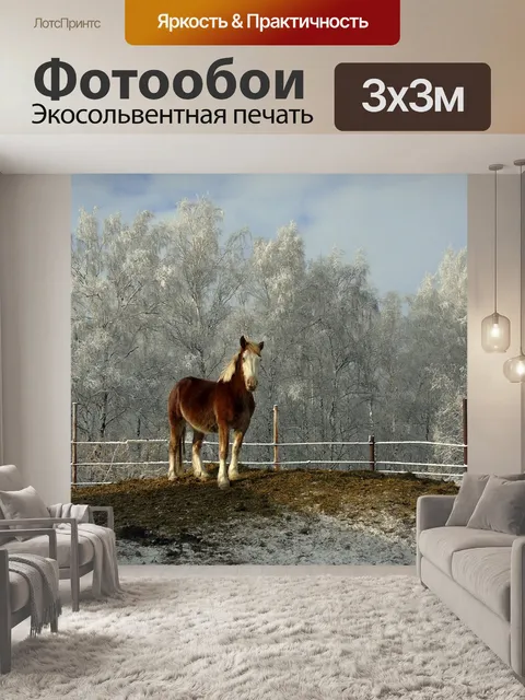 Фотообои Лошадь