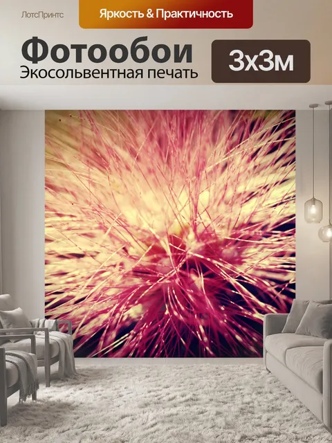 Фотообои Красивый цветок