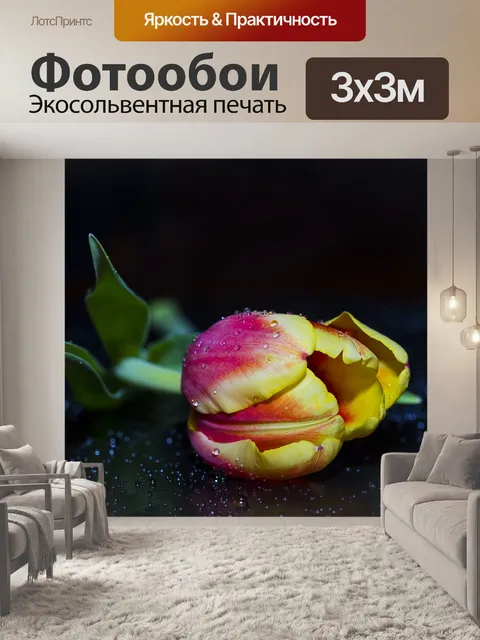 Фотообои Тюльпан