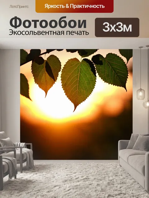 Фотообои силуэт листьев на закате