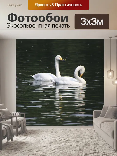 Фотообои Лебеди