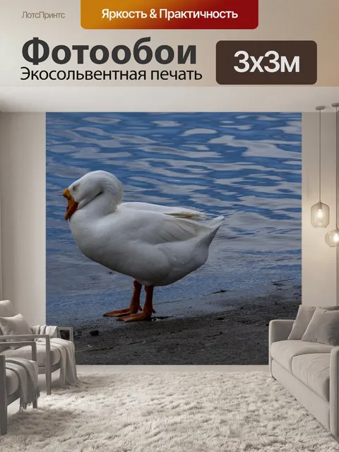 Фотообои Гусь