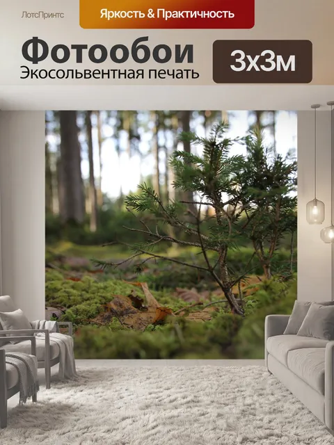 Фотообои Ель