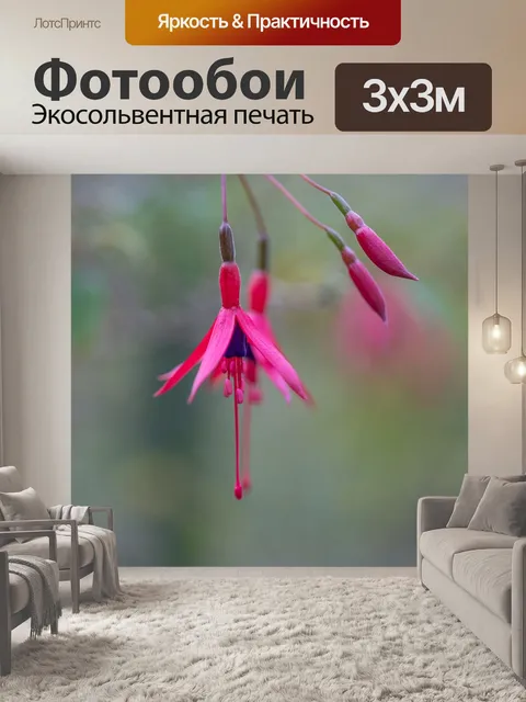 Фотообои Цветы
