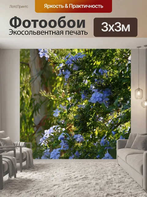 Фотообои Цветы