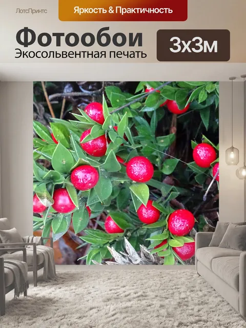 Фотообои Красные ягоды Буш