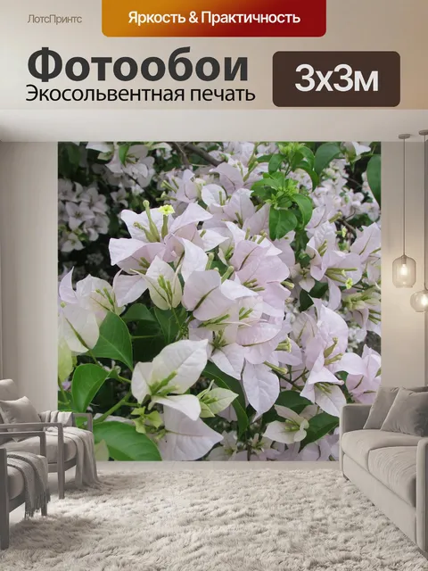 Фотообои Цветы