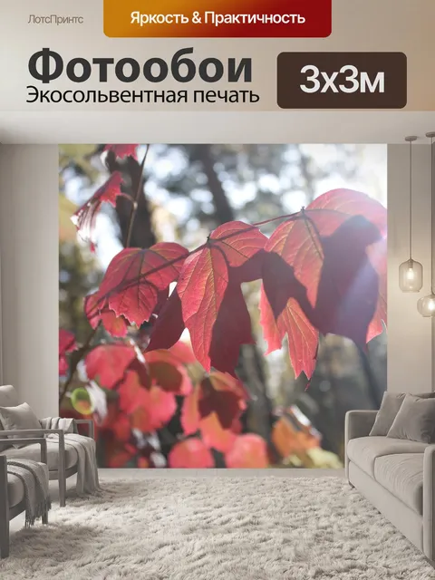 Фотообои Лес
