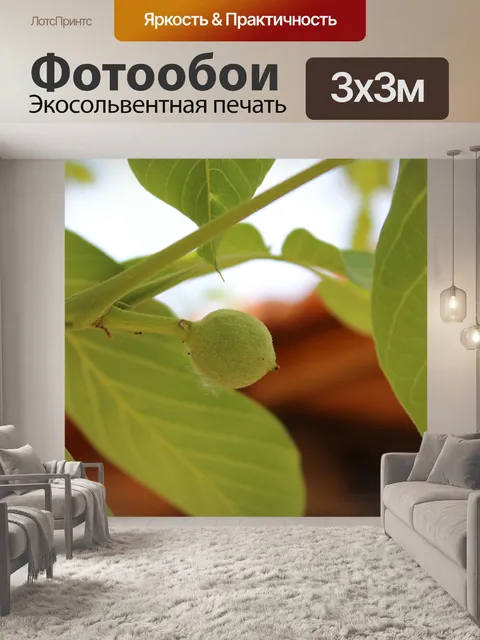 Фотообои Листья