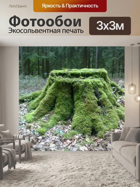 Фотообои Пень