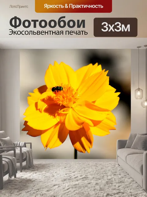 Фотообои Белый