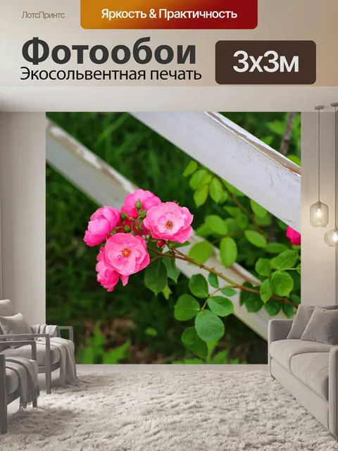 Фотообои Роза