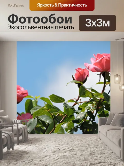 Фотообои Роза