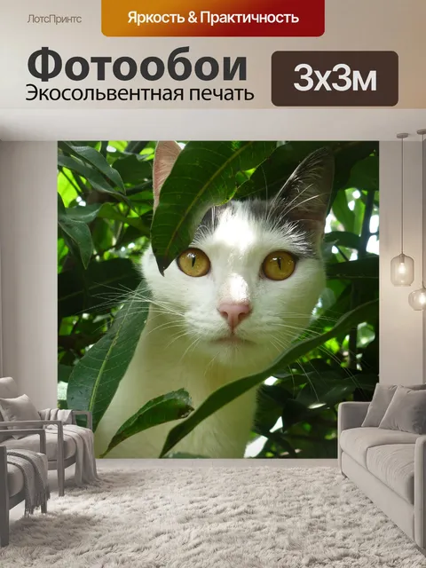 Фотообои Кошка думает, что она ягуар