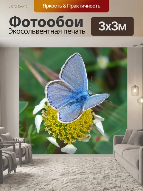 Фотообои Бабочка