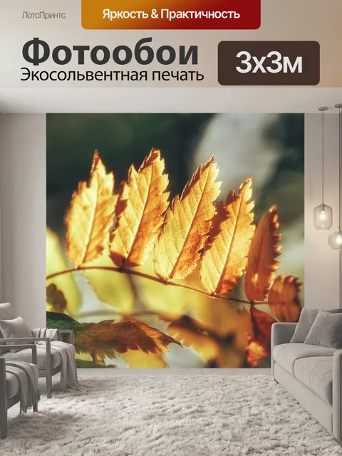Фотообои Осень
