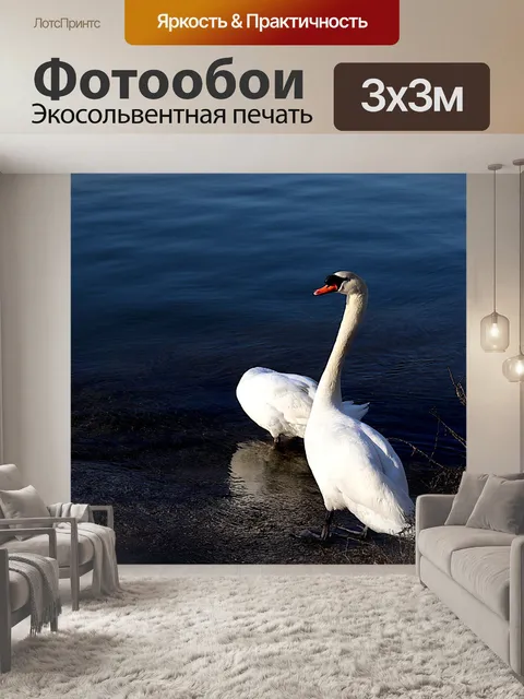 Фотообои Лебеди