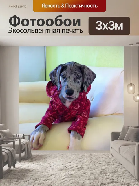 Фотообои Немецкий дог