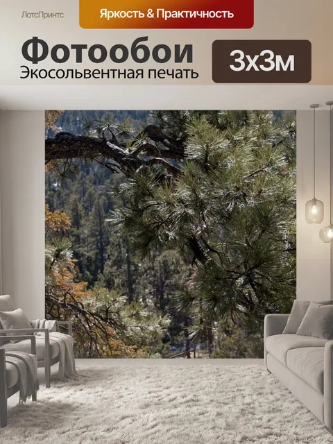 Фотообои Буш-сосна