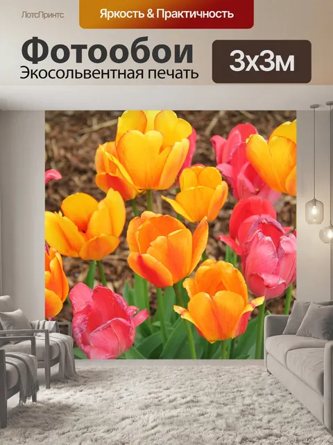 Фотообои Тюльпаны