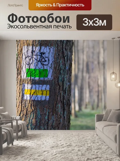 Фотообои Велосипед