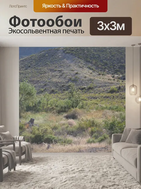 Фотообои Пустынных гор, зеленые растения парка
