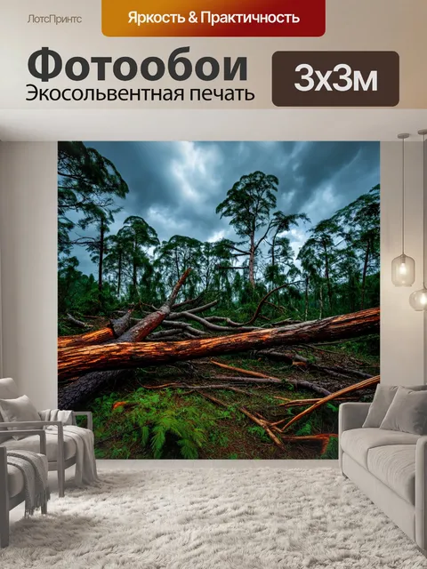 Фотообои последствия урагана: обломанные деревья и поваленные стволы, сплетающиеся в хаосе