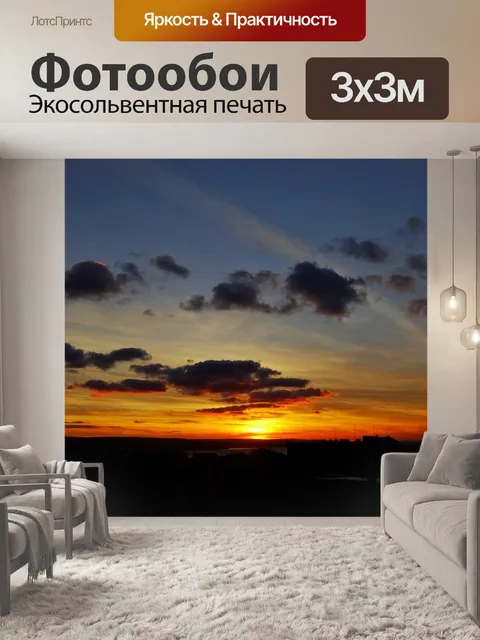 Фотообои Силуэт
