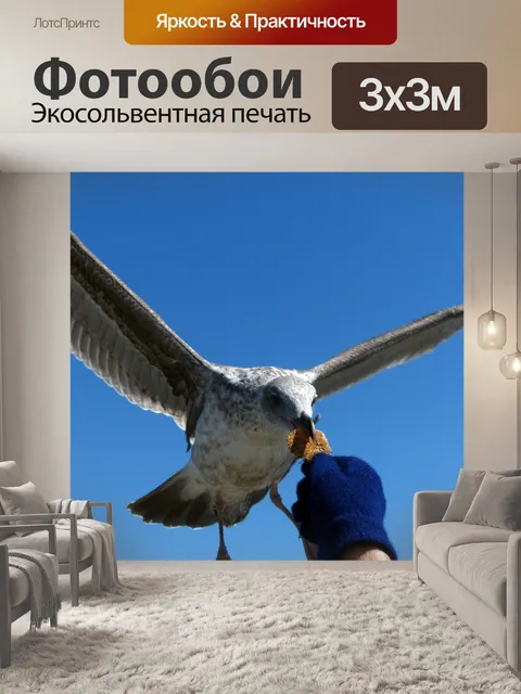 Фотообои Кормление Чайка