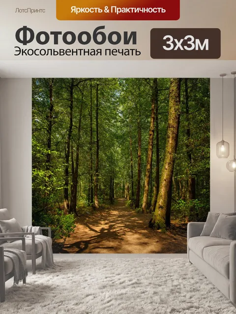 Фотообои высокие стройные деревья с глубокими тенями, лесная тропа, обрамленная листвой