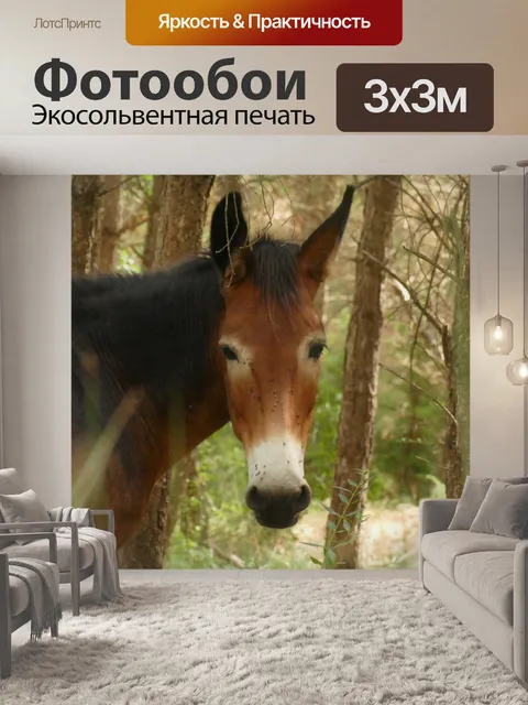 Фотообои Мул