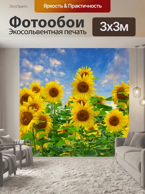 Фотообои Подсолнечник полевые цветы небо