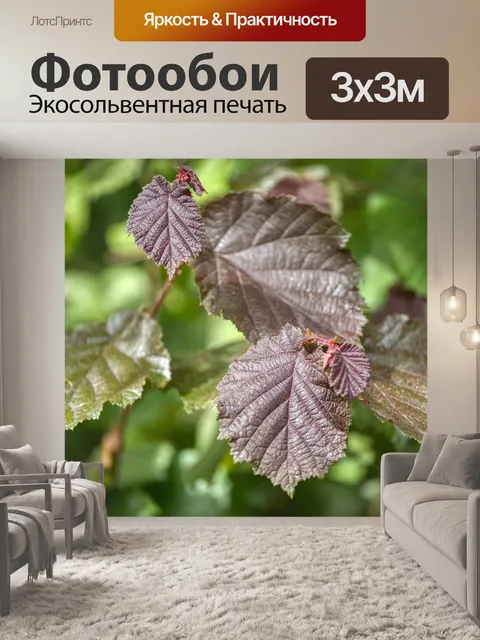 Фотообои Листья