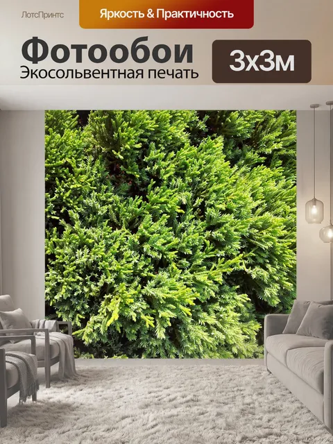 Фотообои зелени сосны листья фон