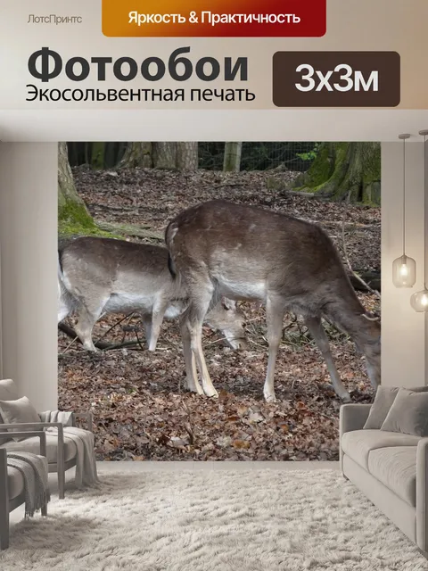 Фотообои Олень