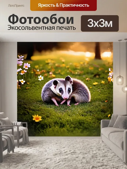 Фотообои в центре вечернего парка молодой опоссум нежно обнимает своего друга, свернувшись калачиком на траве
