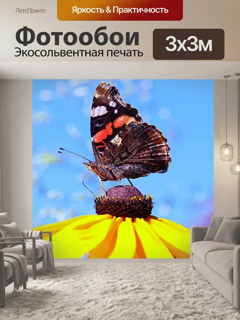 Фотообои Бабочка