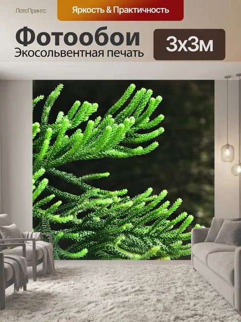 Фотообои Дерево сосны